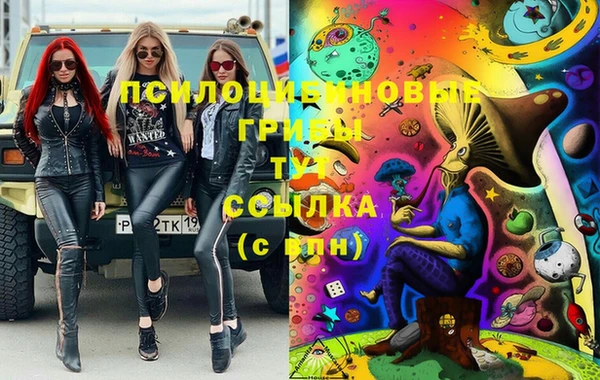 2c-b Балахна